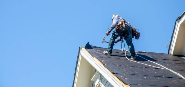 Roof Gutter Cleaning in Six Mile Run, NJ
